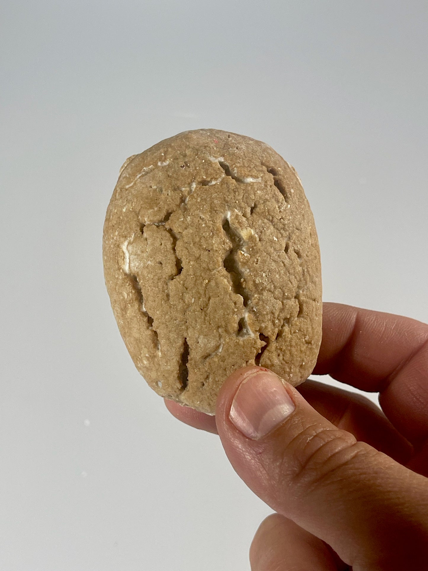 Cannoli Nutella Cookies